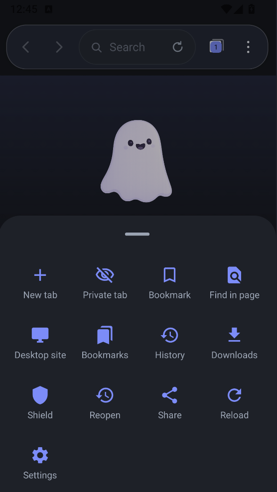 Options panel